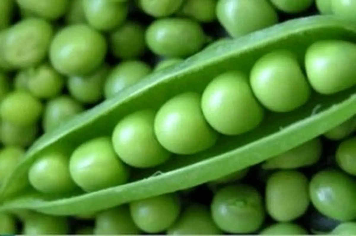 چندین دلیل خوب برای مصرف نخودفرنگی