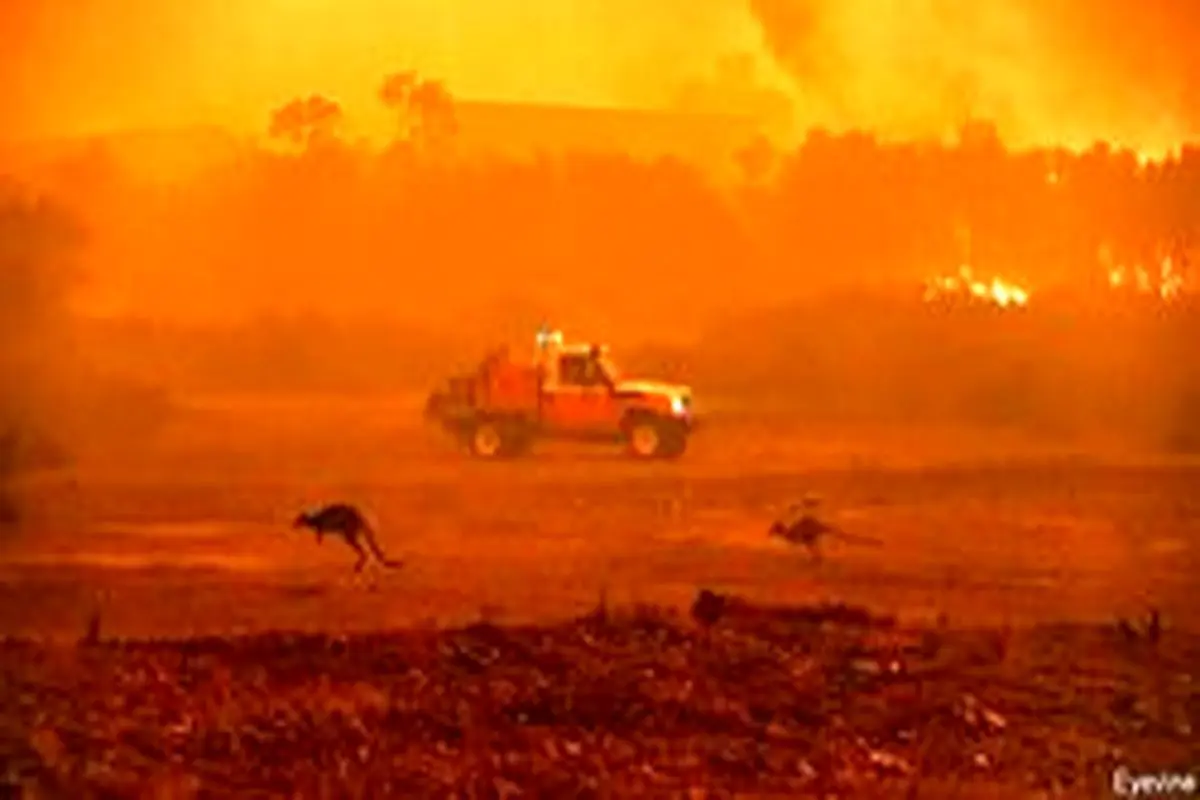 آتش‌سوزی جنگل‌ها با اقتصاد استرالیا چه کرد؟