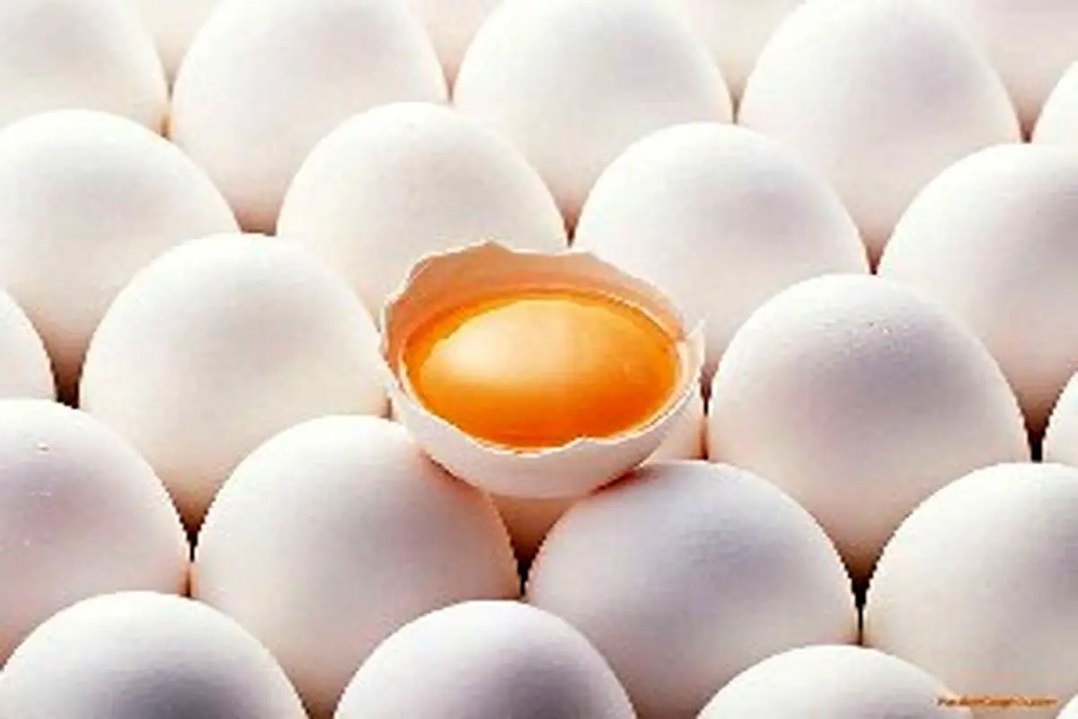 تخم مرغ را کاملآ بپزید