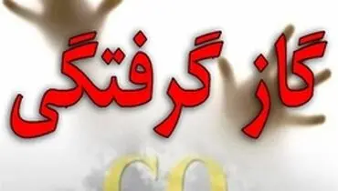 جان باختن بیش از ۱۸۰ نفر بر اثر مسمومیت با گاز co در کشور