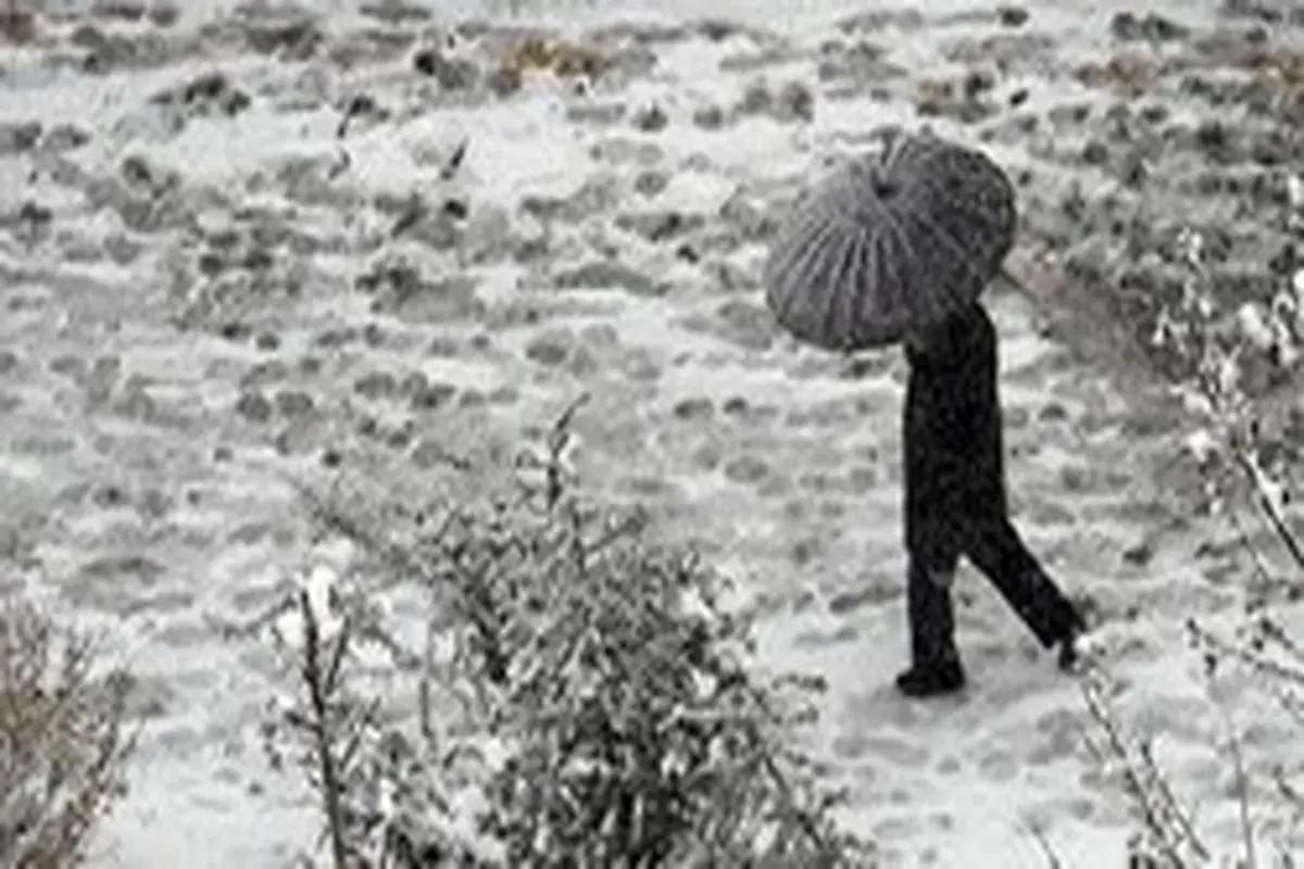 جدیدترین‌های «کیفیت هوا»|بارش برف آلودگی تهران را شست
