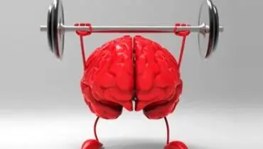 چگونه می‌توان حافظه خود را تقویت کرد؟