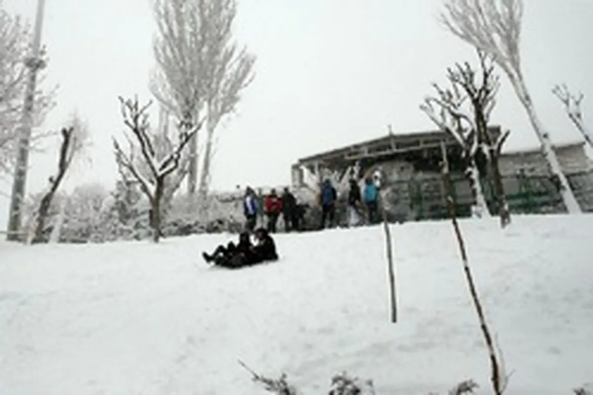 بارش برف کیفیت هوای تهران را سالم کرد