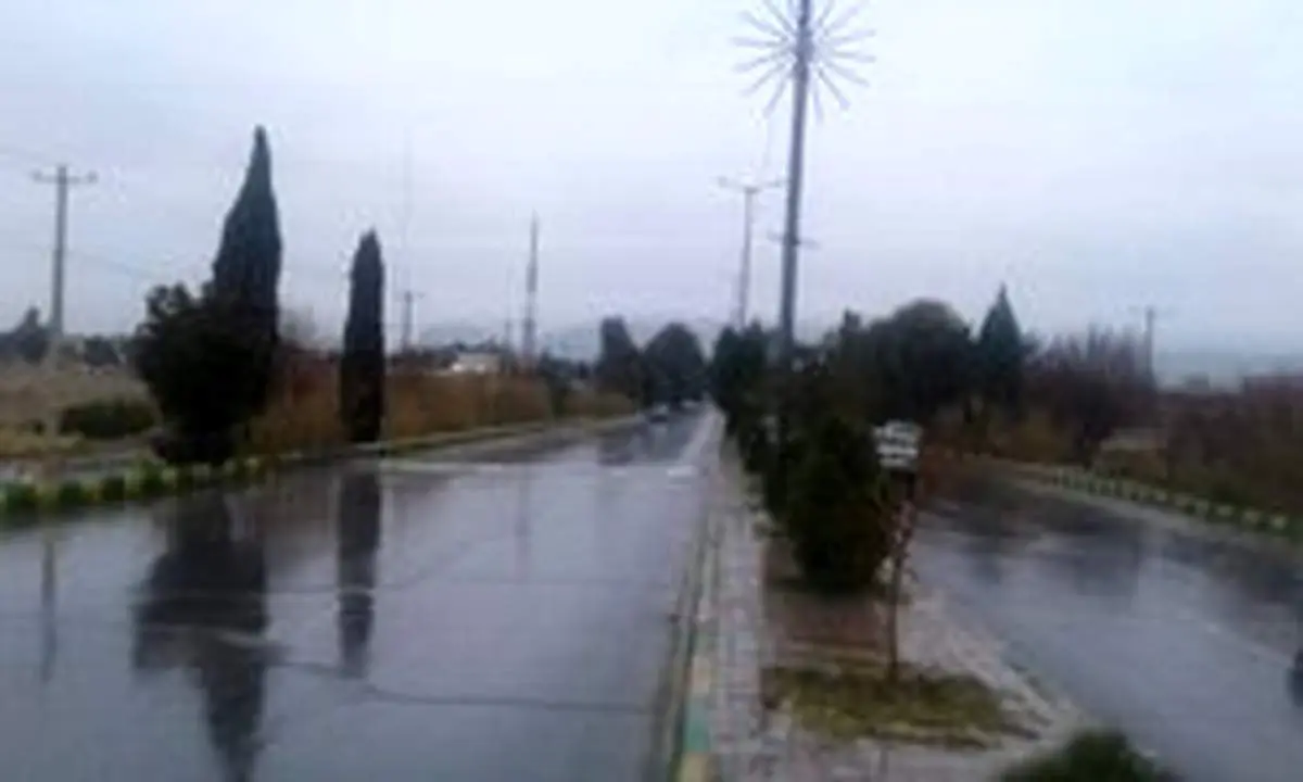 معین افشار: بارندگیها در منطقه سیستان و بلوچستان خسارتی در پی نداشت/ تیمهای واکنش سریع تمامی خسارتها را بررسی میکنند