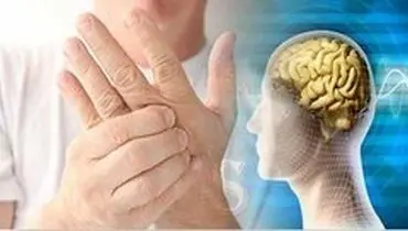 پروبیوتیک بخورید تا MS نگیرید
