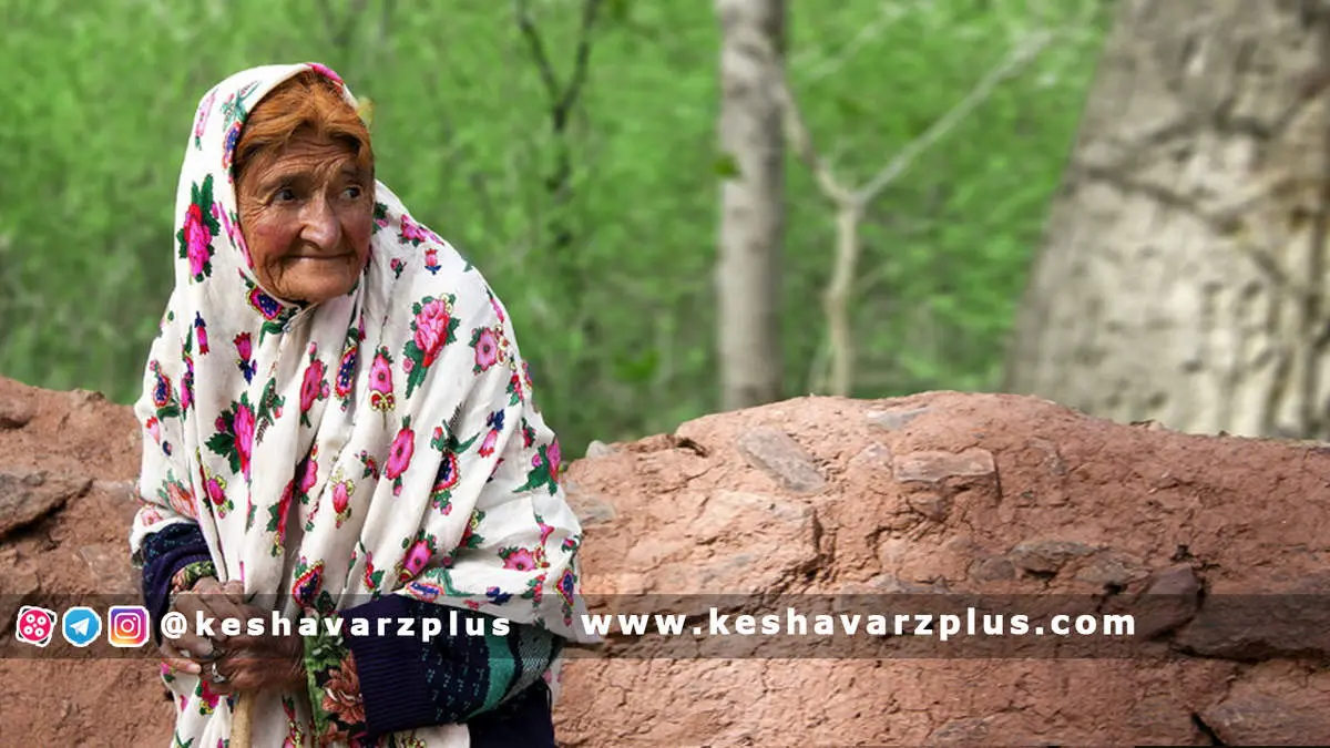 زور دولت به روستایی ها رسید