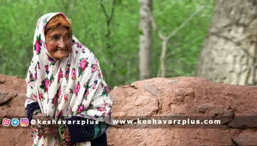 زور دولت به روستایی ها رسید