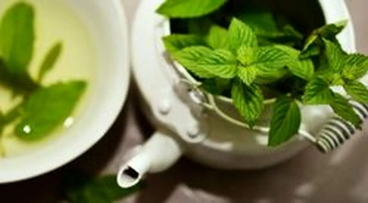 گیاهی که به پوست شما درخشش طبیعی می‌بخشد