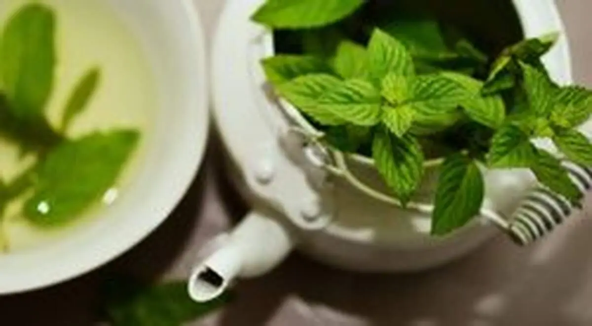 گیاهی که به پوست شما درخشش طبیعی می‌بخشد
