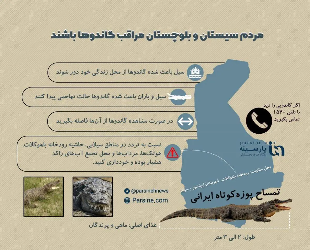 اینفوگرافی/گاندوها در سیستان و بلوچستان