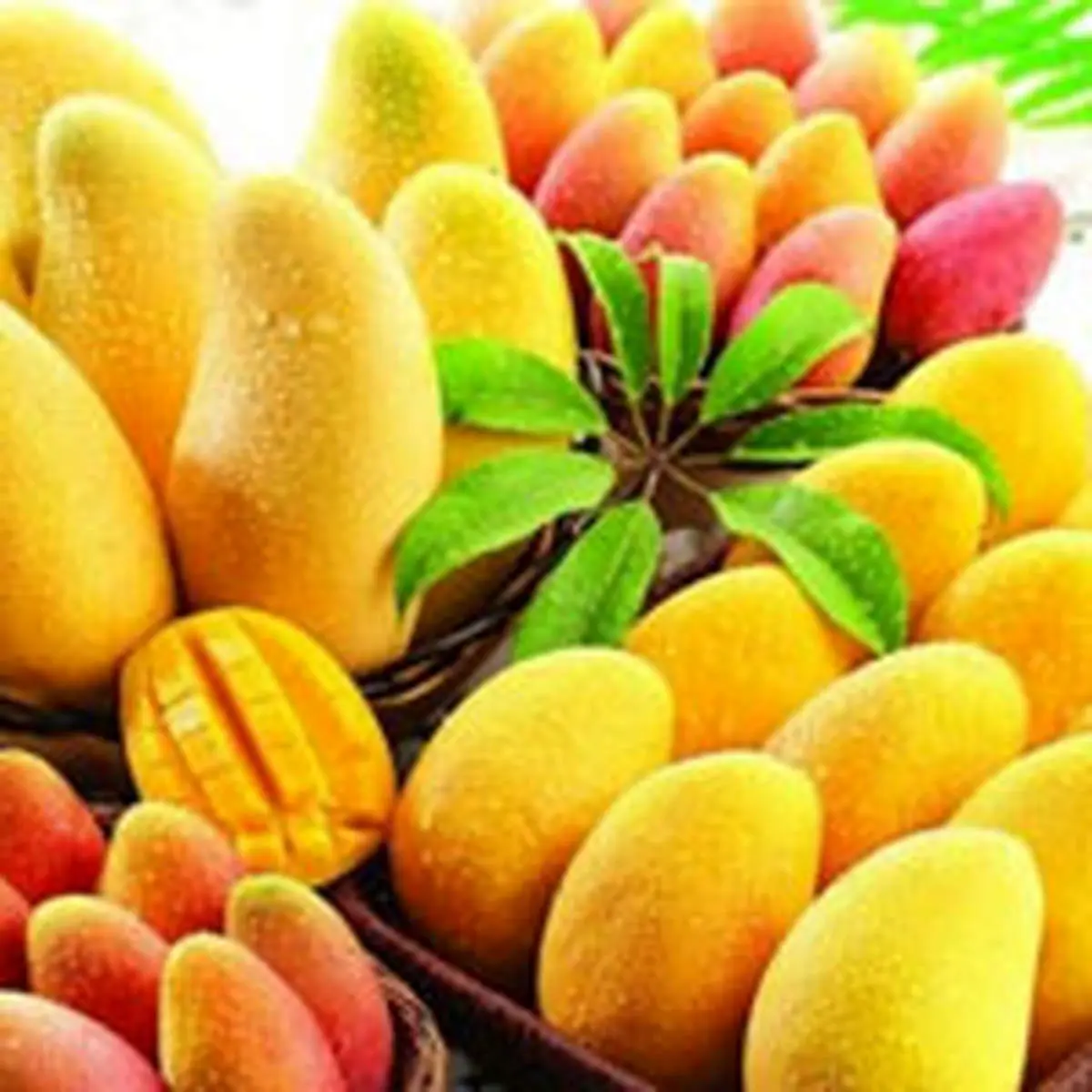این میوهها قند زیادی دارند، احتیاط کنید