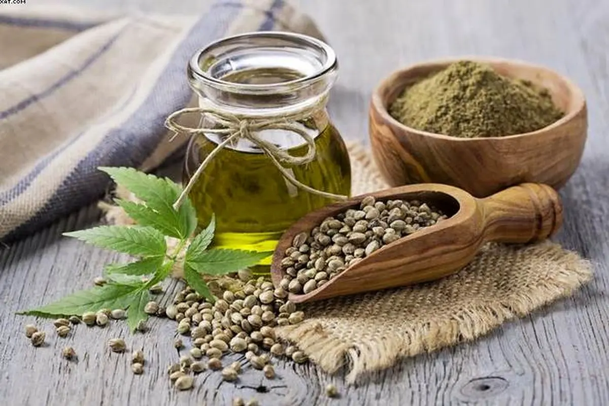 سلطان دانههای مغذی را بشناسید