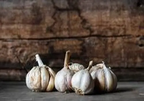 سیر خام بخوریم یا نخوریم؟