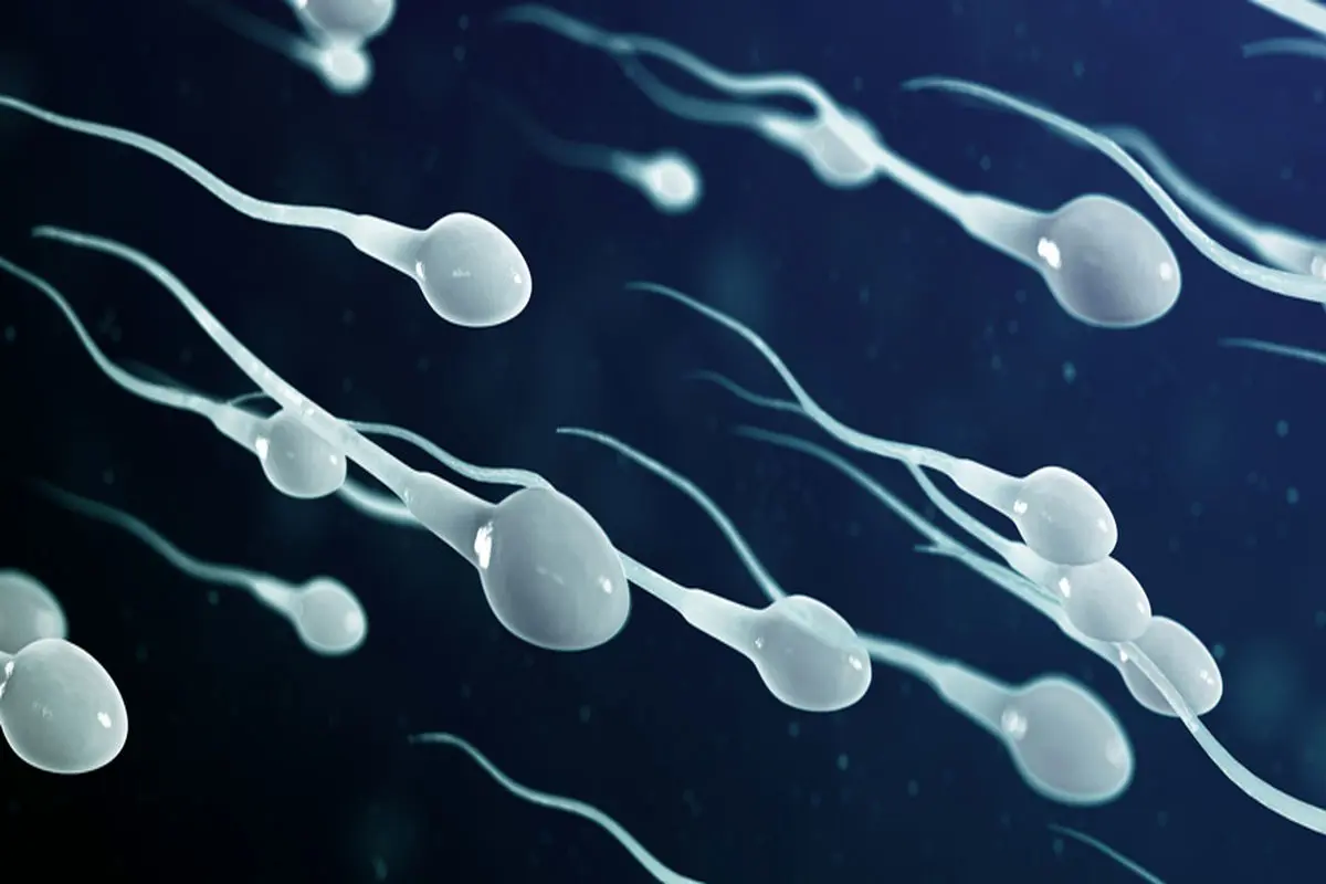 آبکی شدن اسپرم باعث ناباروری میشود؟