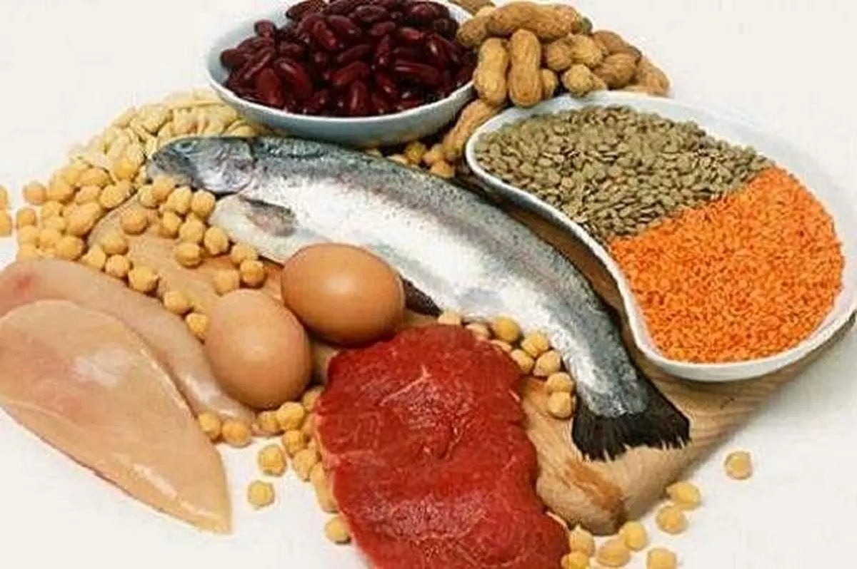 بین مصرف پروتئین و مرگهای سرطانی ارتباط وجود دارد