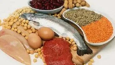 بین مصرف پروتئین و مرگ‌های سرطانی ارتباط وجود دارد