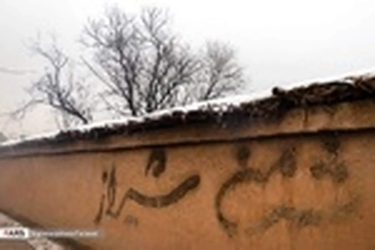 بارش برف در «شیراز»
