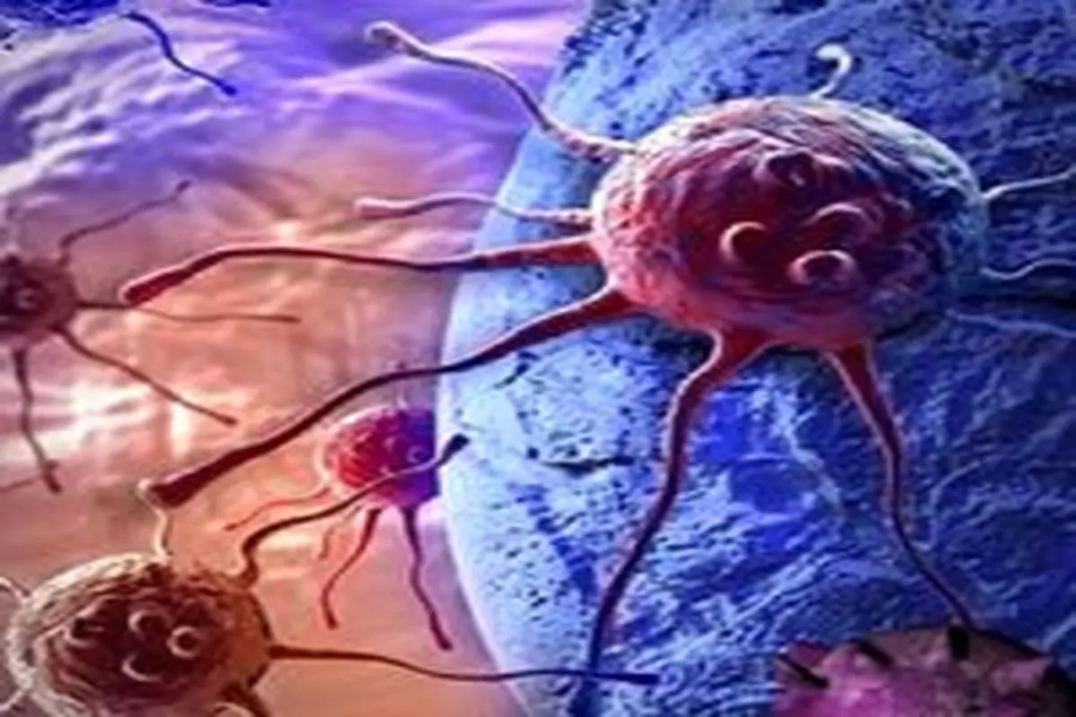 سلولی که می‌تواند درمان سرطان را متحول کند
