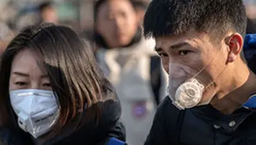 مار‌ها منشا ویروس کشنده شایع در چین