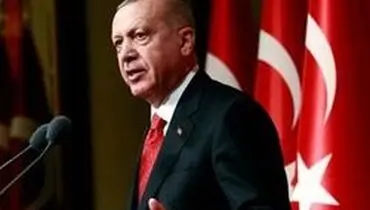 چرا اردوغان در مراسم شام مرکل شرکت نکرد؟