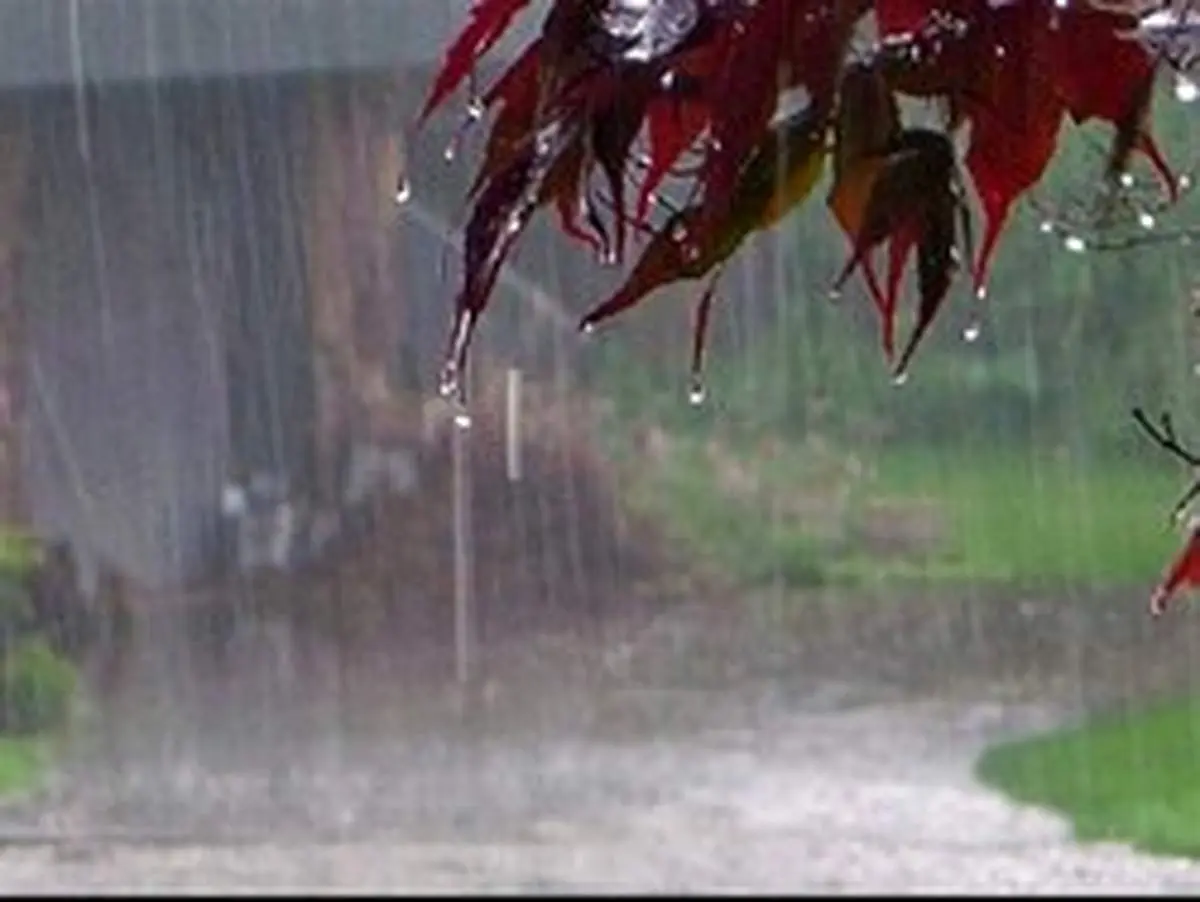 هواشناسی ایران ۹۸/۱۱/۵|بارش برف و باران ۲ روزه در برخی استانها/ دمای هوا ۵ درجه افزایش مییابد