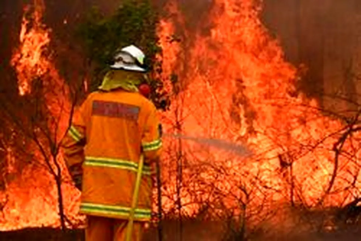 آتش سوزی‌های استرالیا چه تأثیری بر دنیا دارد؟ +تصاویر