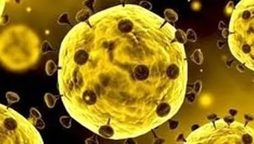 پنج چیزی که باید در مورد ویروس کرونا بدانید
