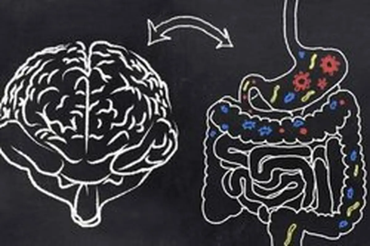 ارتباط شخصیت با میکروبیوم روده!