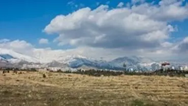 برف و کولاک در غرب کشور/ ادامه وزش باد در تهران