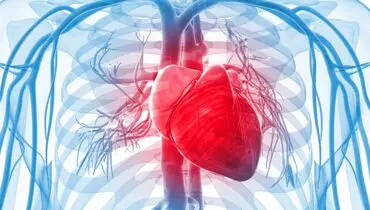 عامل ۵۰ درصد مرگ‌های زودرس چیست؟