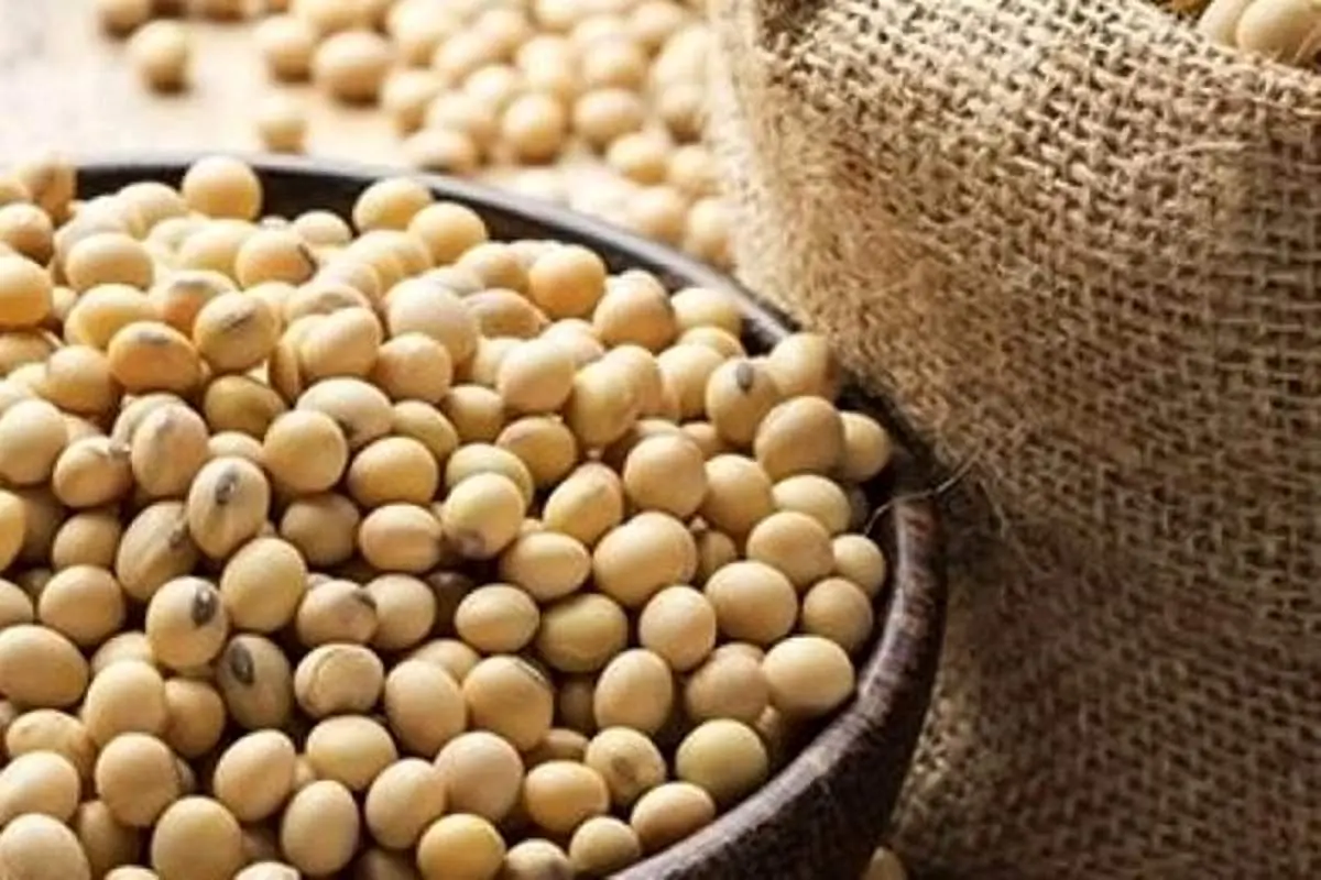 مصرف محصولات سویا موجب افزایش طول عمر می‌شود