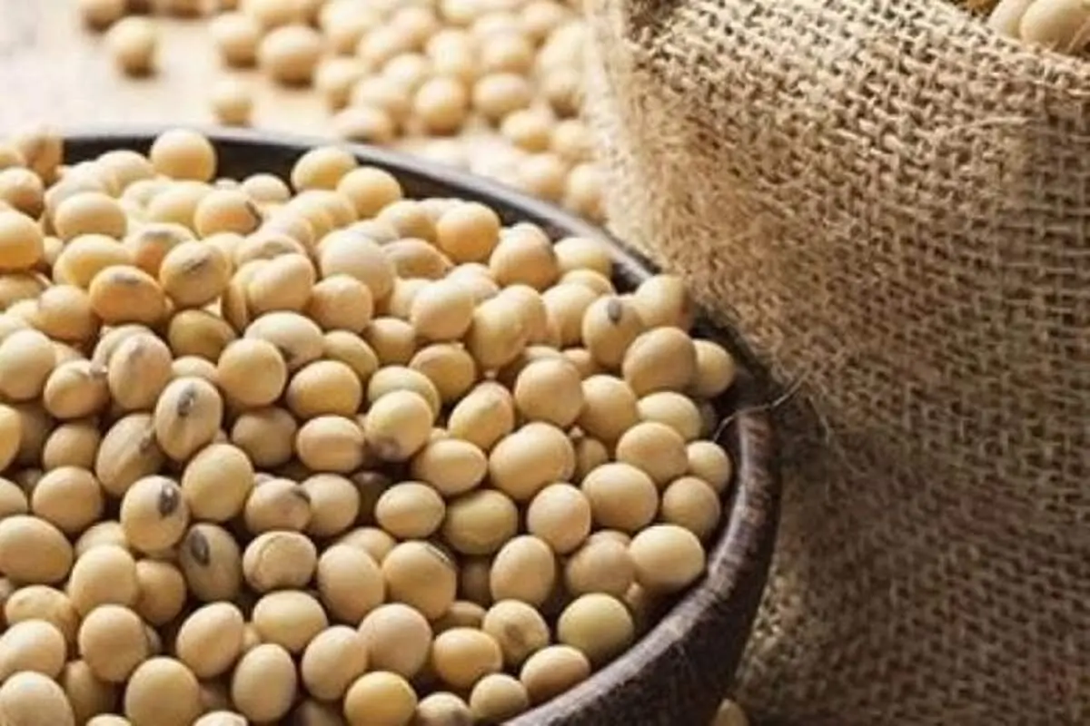 مصرف محصولات سویا موجب افزایش طول عمر می‌شود