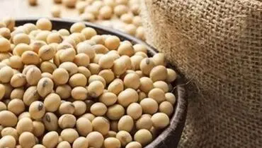 مصرف محصولات سویا موجب افزایش طول عمر می‌شود