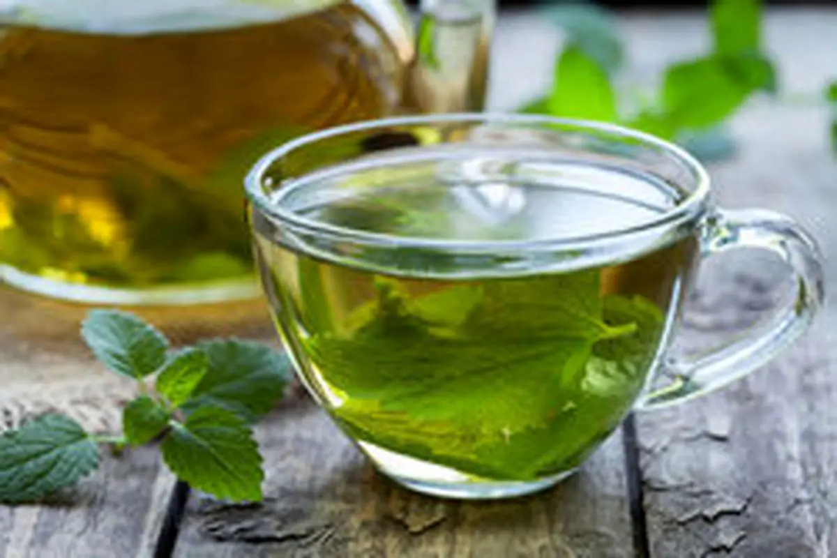 طرز تهیهی دمنوش پونه؛ سرشار از خاصیت درمانی