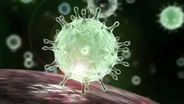 ویروس جدید کرونا تا چند روز در محیط زنده می‌ماند؟