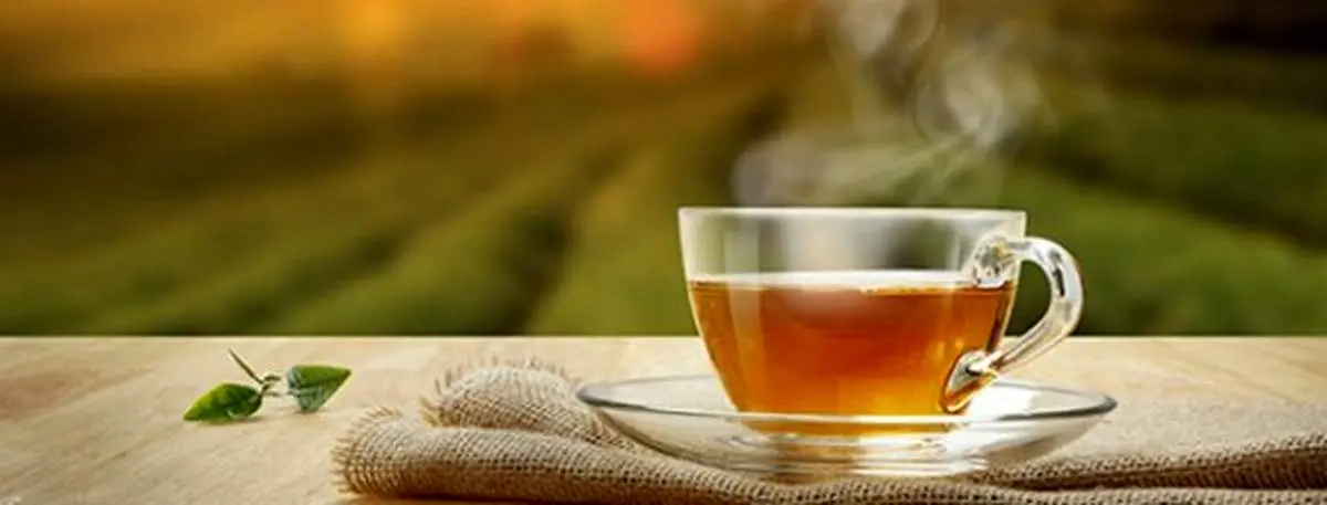 چه دمنوش‌هایی به کاهش وزن کمک می‌کنند؟