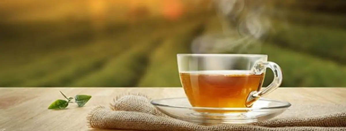 چه دمنوش‌هایی به کاهش وزن کمک می‌کنند؟
