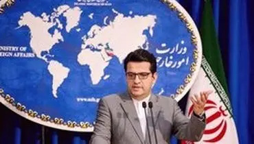 موسوی: نژادپرستی مطلق و نقض حقوق بشر است