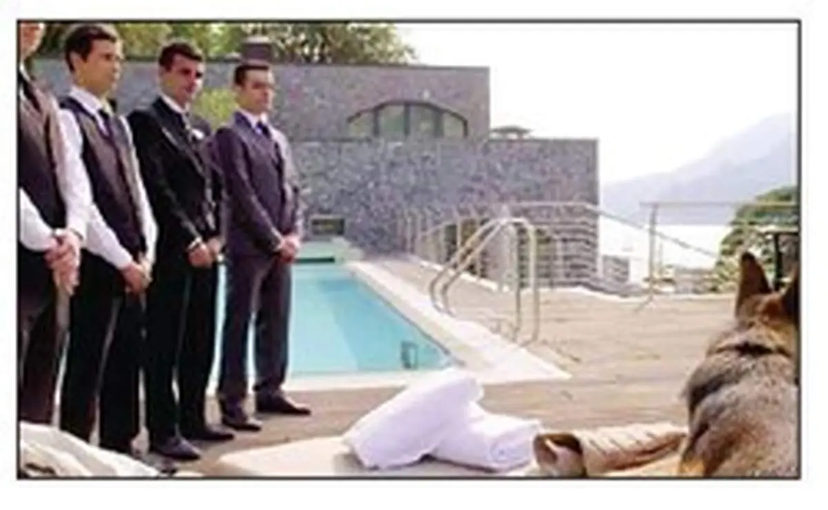 ثروت ۳۲۷ میلیون دلاری یک سگ