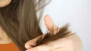 مقابله با موخوره با روشی سریع
