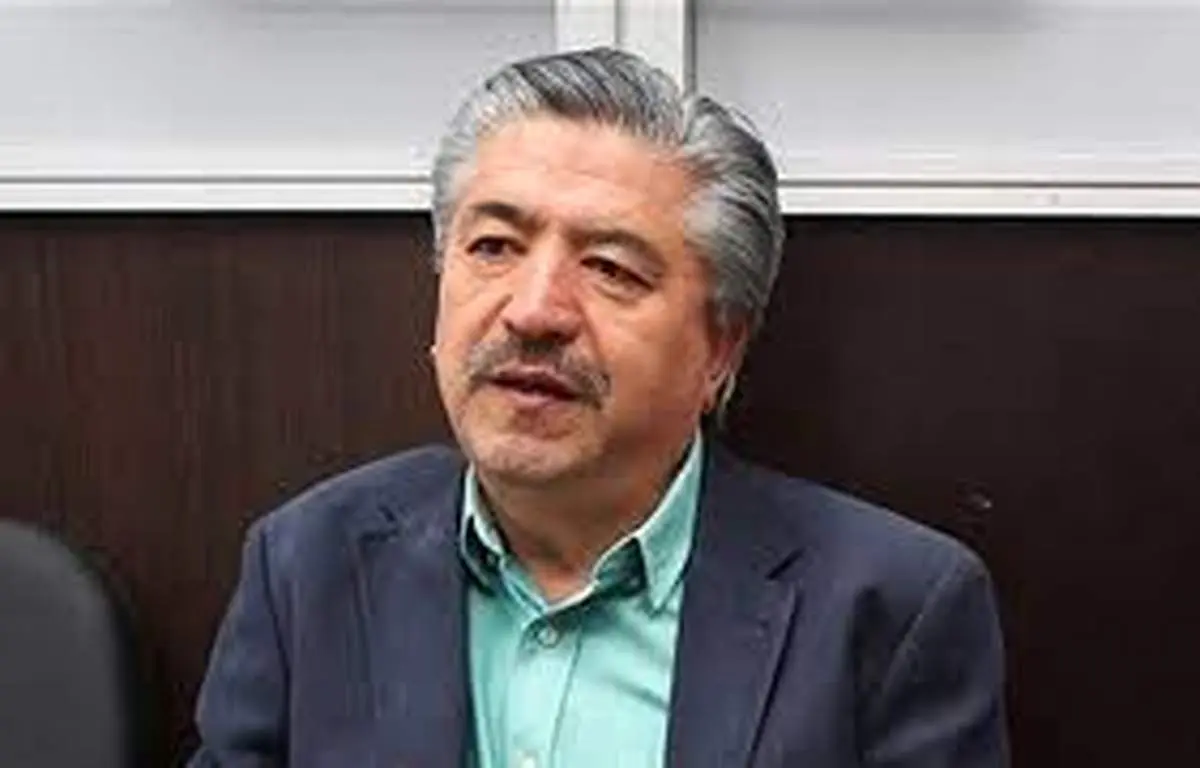 انصاری: دولت به اصلاحات راهبردی، سیاستگذاری و نیروهای تازه نفس نیاز دارد/ روحانی در دولت دوم جسارت و اقتدار دولت اول را اعمال نکرد