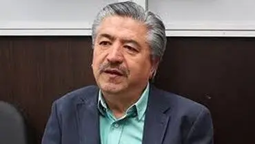 انصاری: دولت به اصلاحات راهبردی، سیاستگذاری و نیرو‌های تازه نفس نیاز دارد/ روحانی در دولت دوم جسارت و اقتدار دولت اول را اعمال نکرد
