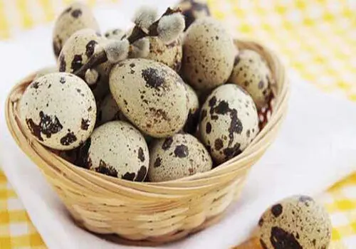 خواص بی‌نظیر تخم بلدرچین
