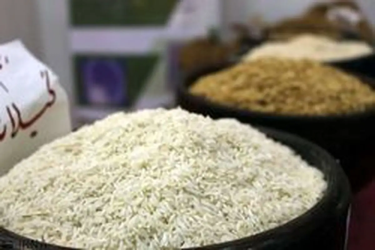 سازمان غذا و دارو: برنج مصنوعی در ایران وجود ندارد
