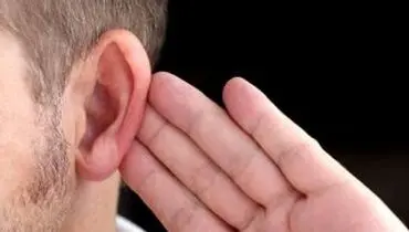 هرگز این حرف‌ها را به میزبان خود نگویید!