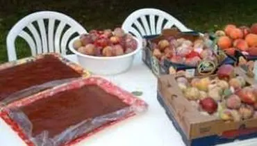 مضرات و منافع لواشک و آلوچه