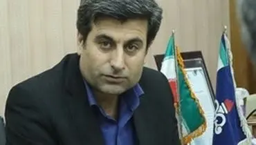 اعلام آمادگی دو سرمایه گذار داخلی برای توسعه میدان نفتی شادگان