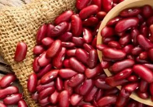 مزایای عجیب خوردن لوبیا برای دیابتی ها