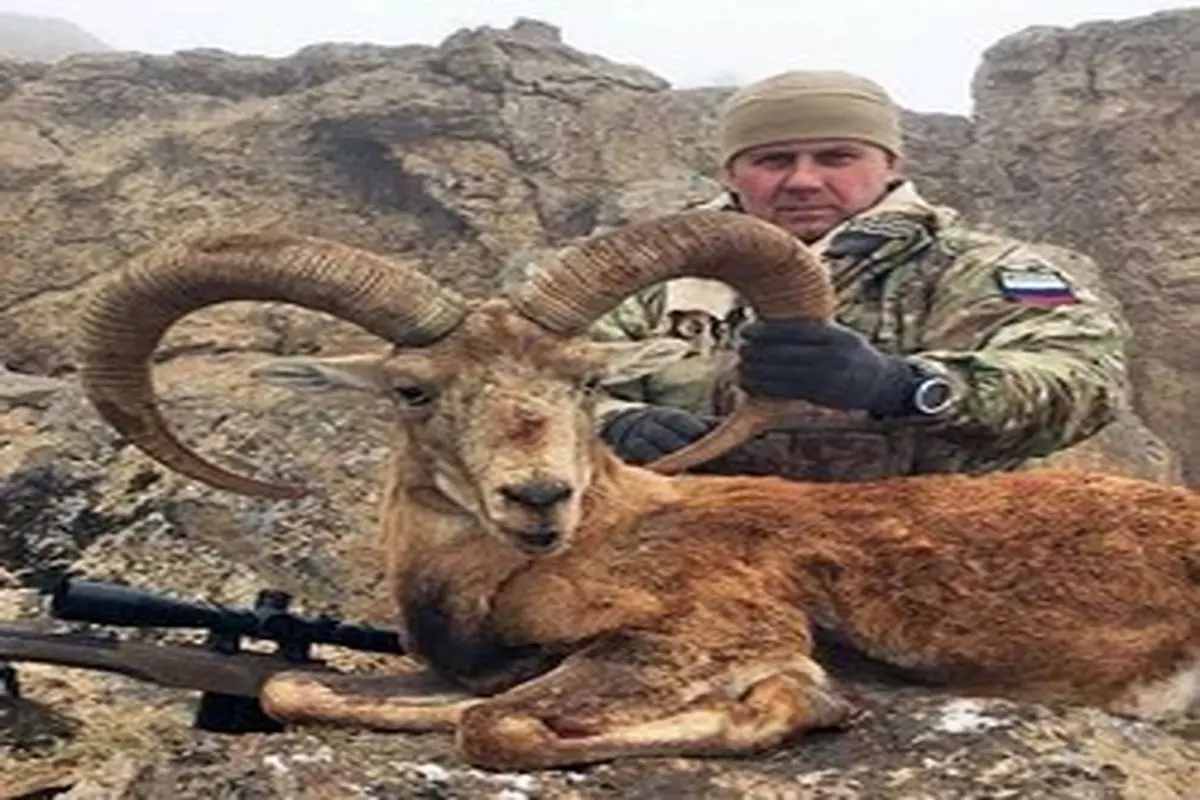 ژست غم انگیز شکارچیان خارجی با حیوانات شکار شده در ایران