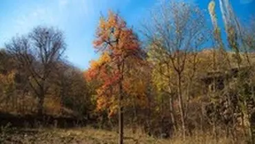 آسمان صاف و نیمه‌ابریِ اغلب شهر‌ها در روز انتخابات/ اول اسفند در پایتخت باران می‌بارد